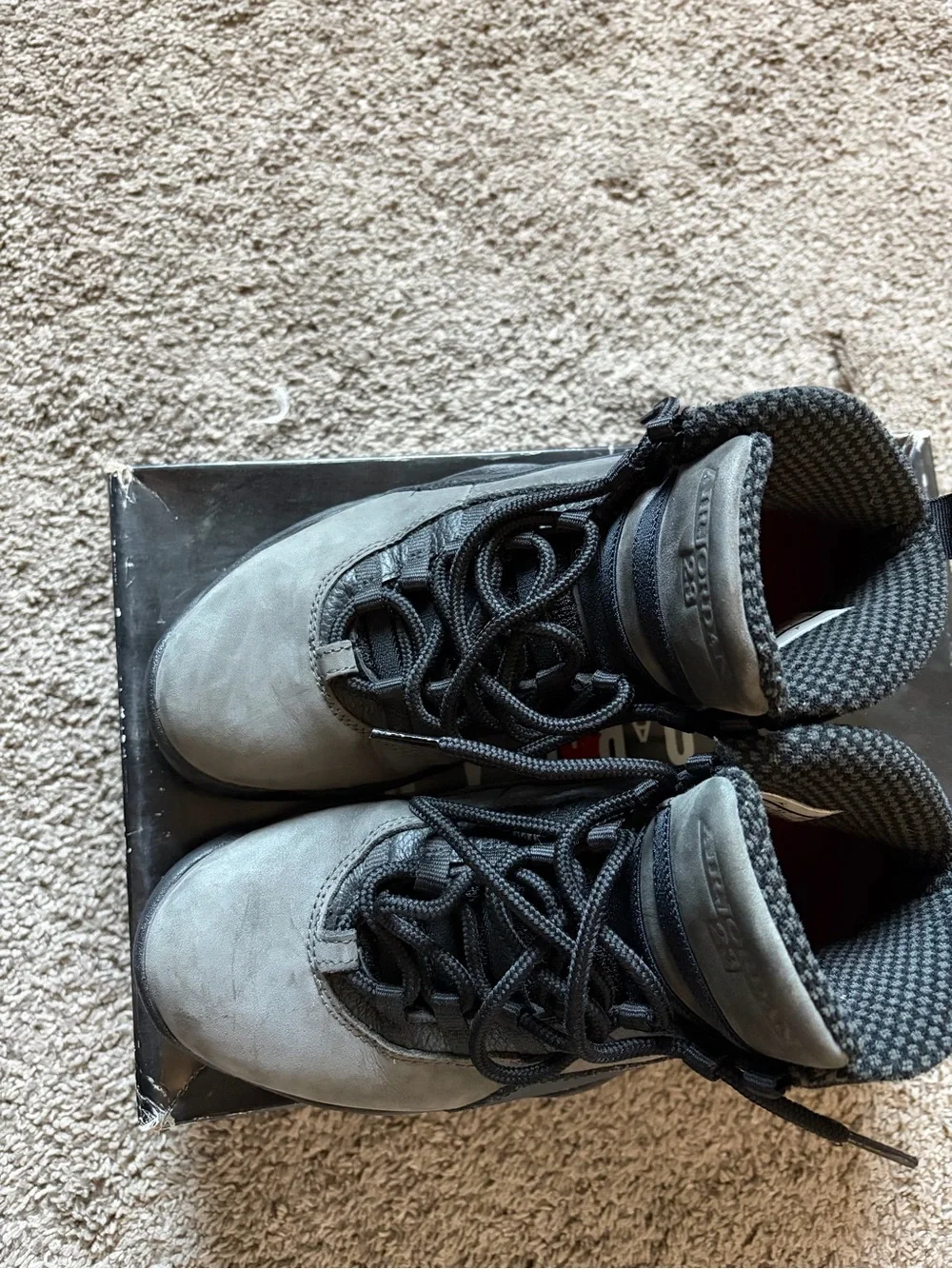 Air Jordan 10 Retro Dark Shadow